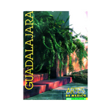 GUADALAJARA - Ambiente Mexicano