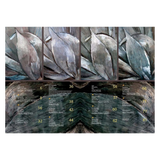 MEZCAL - Ambiente Mexicano