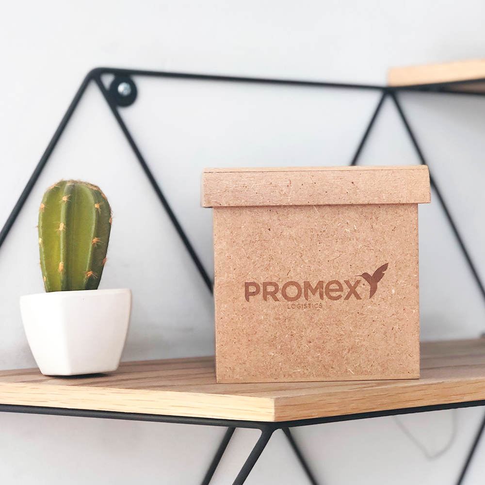 Cajita "Atotonilco" con mini alebrije, dulces mexicanos y algo más para regalos - Ambiente Mexicano