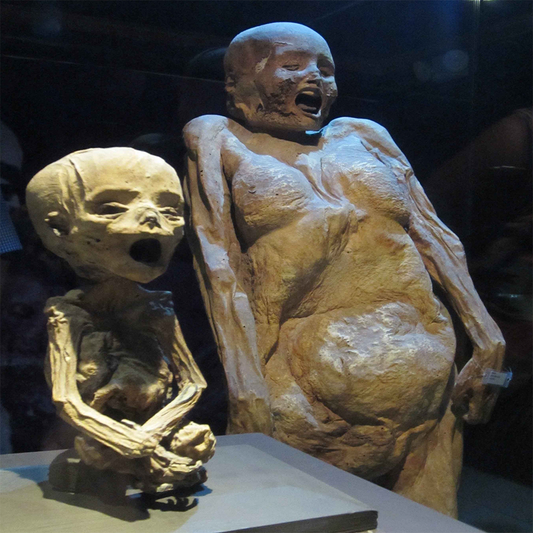 Foto: https://www.pinterest.com.mx