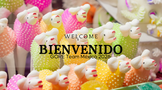 ¡Bienvenidos! - GORE
