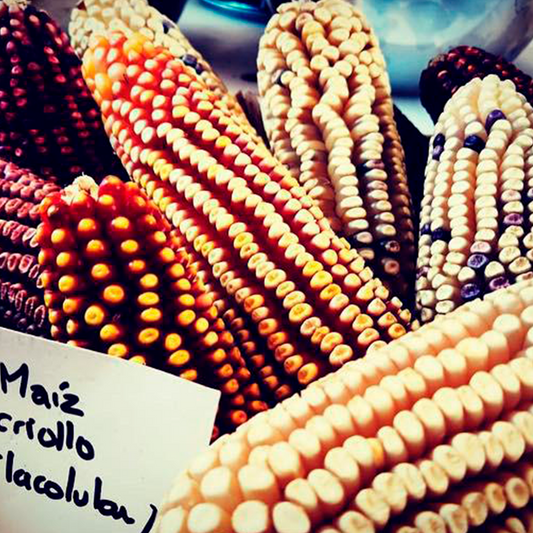 Feria Gastronómica Verbena Azcapotzalco