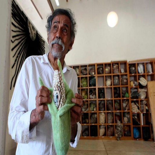 Foto: https://pasolibre.grew.mx