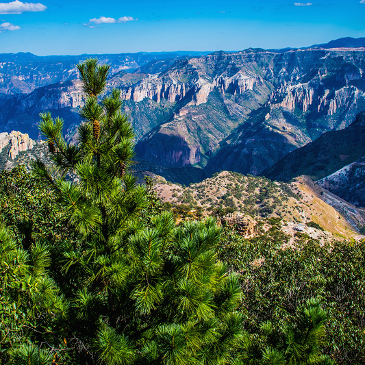 Las Barrancas del Cobre