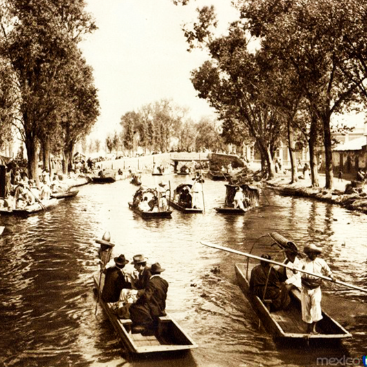Un canal de la antigua "Venecia Mexicana"