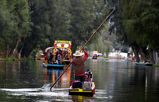 La solución sustentable para estos tiempos