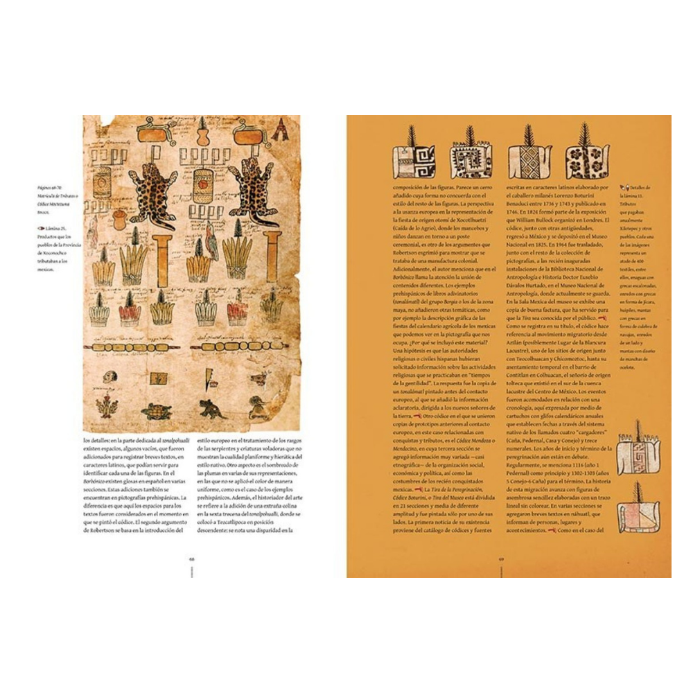 CÓDICES PREHISPÁNICOS - Ambiente Mexicano
