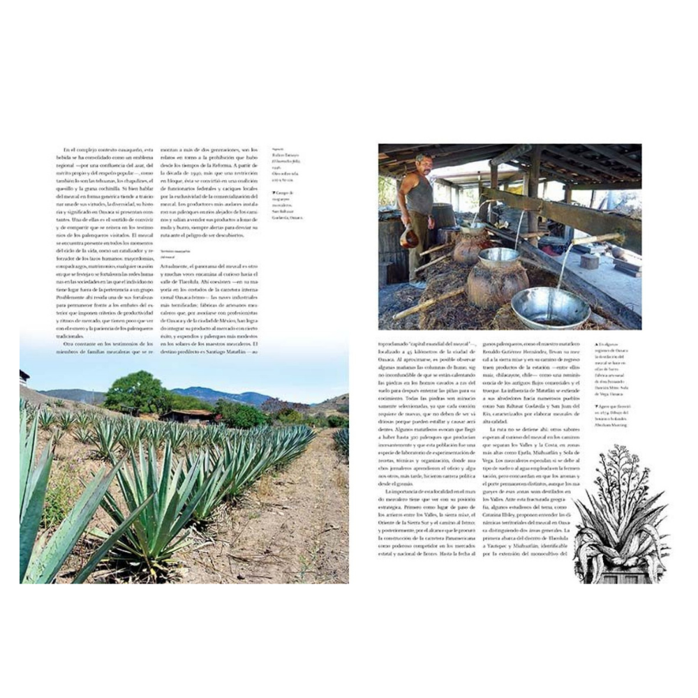 MEZCAL. Arte Tradicional de México libro bilingüe español inglés Artes de México para regalos corporativos – Ambiente Mexicano