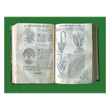 MEZCAL - Ambiente Mexicano