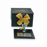 Trofeo con alebrije y caja de envoltura. Trofeos para Premiaciones México | Ambiente Mexicano